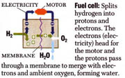 Diagram showing fuel cell mechanism