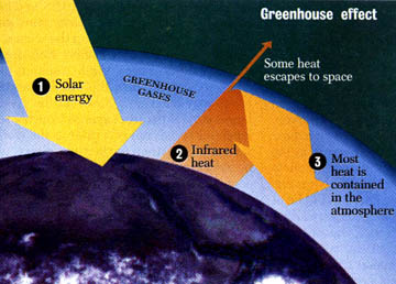 Graphic showing the greenhouse effect