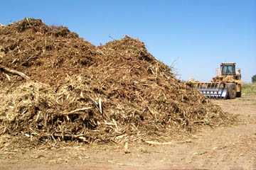 Large pile of organic matter with bulldozer