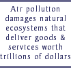 Air pollution famages natural ecosystems that deliver goods & services worth trillions of dollars