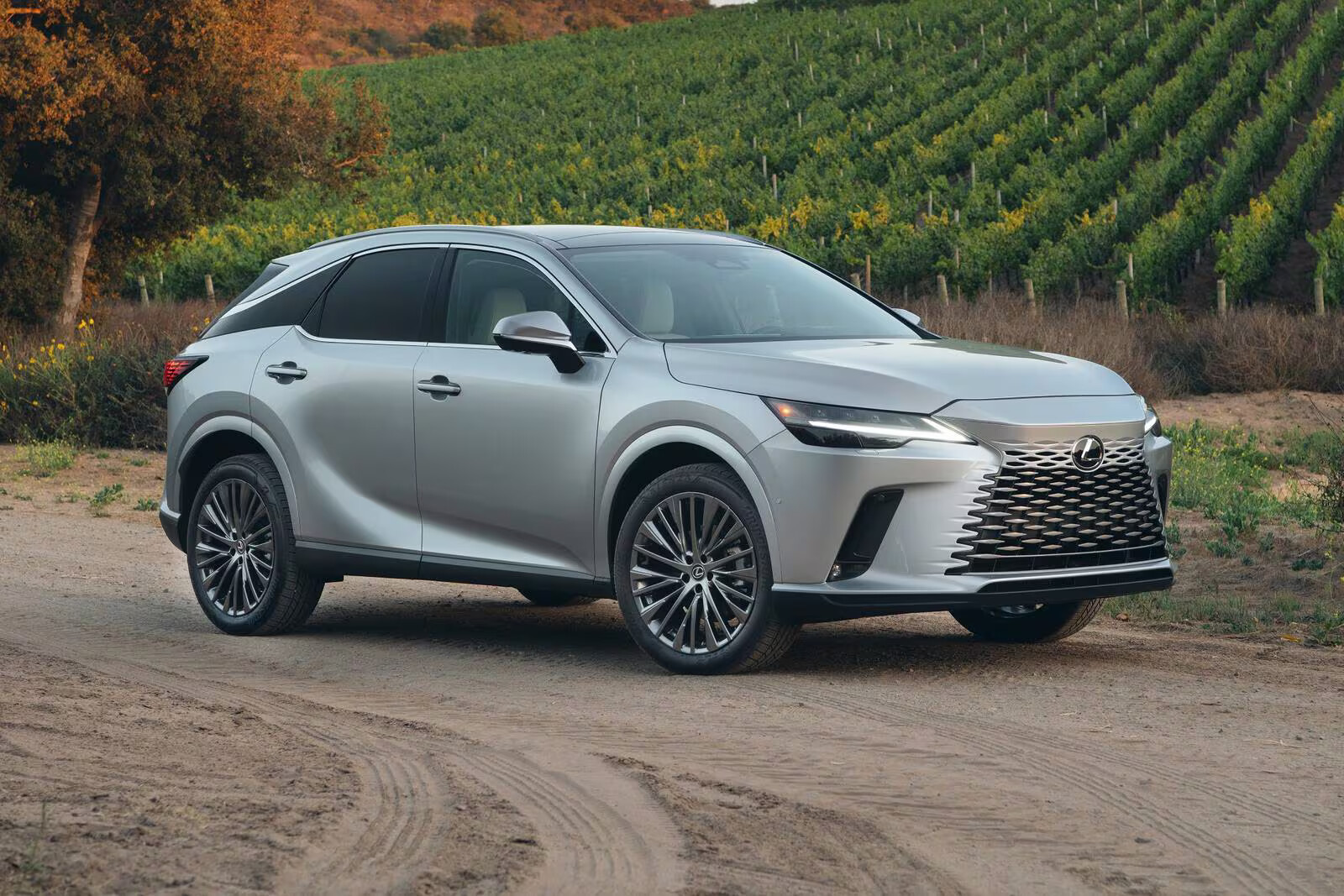 image of Lexus RX 450h+
